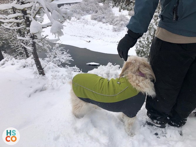 Dog jackets are a great way to keep your pooch warm when venturing out in the cold