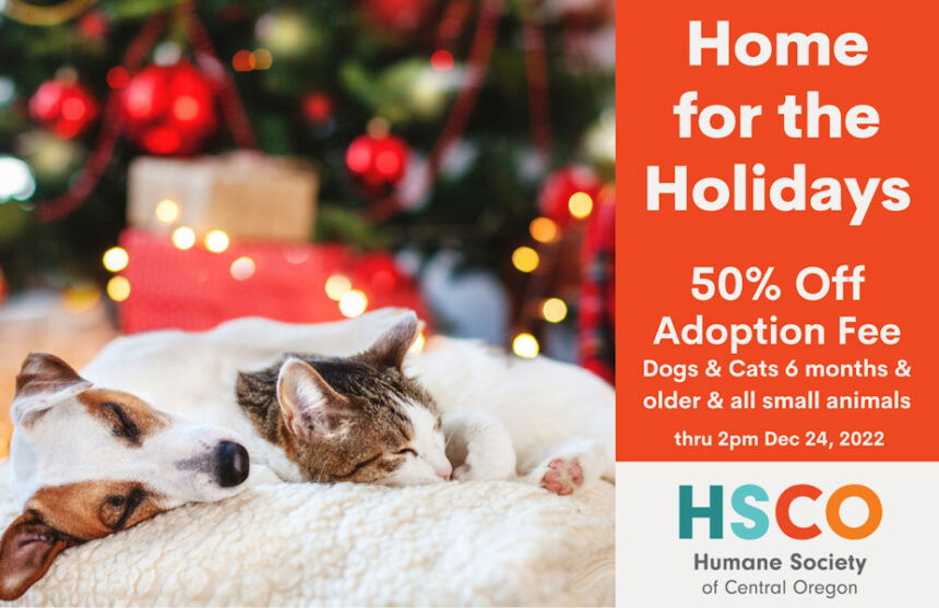 Humane Society Of Central Oregon Extends 'Home For The Holidays ...