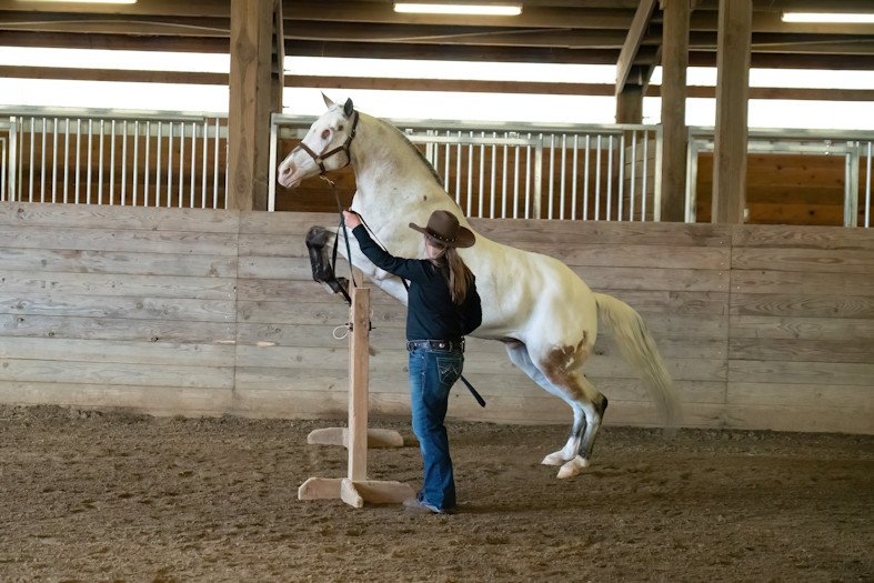 “He thinks he’s the greatest horse in the world and he wants everybody to know that,” owner Morgan Wagner says of her record-breaking blind horse, Endo