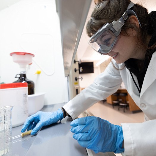 A new biochemistry and molecular biology degree will help develop a pipeline of graduates for positions in the health care and biotech sectors in Central Oregon and beyond