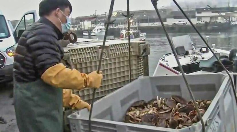 <i>KPIX</i><br/>State officials announced that the opening of commercial Dungeness crab season would be delayed for the third time this season