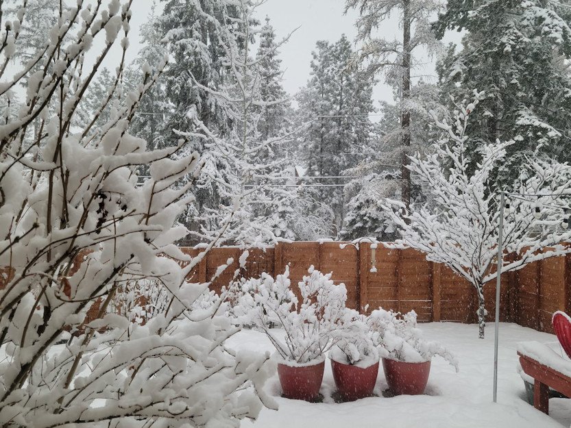 Snow NW Bend Stacey Donohue 1211