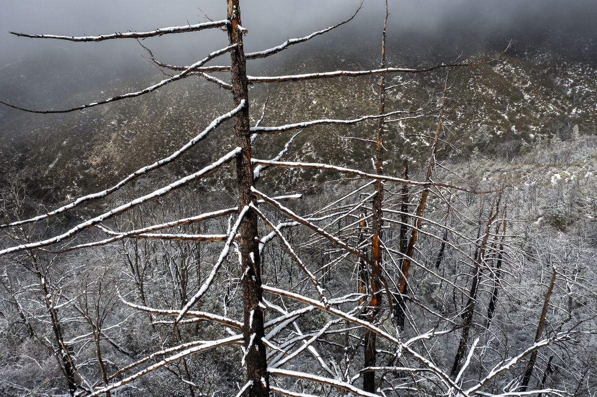 Cold Winter Storms Impact the Sierra, Fossilized Fruit Discovery in  Granite Bay