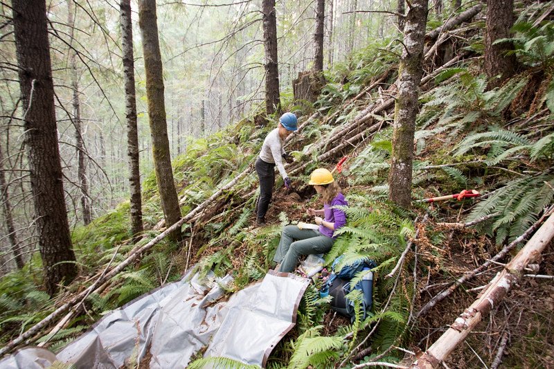 Karla Jarecke, left, and Lauren Roof collect soil samples