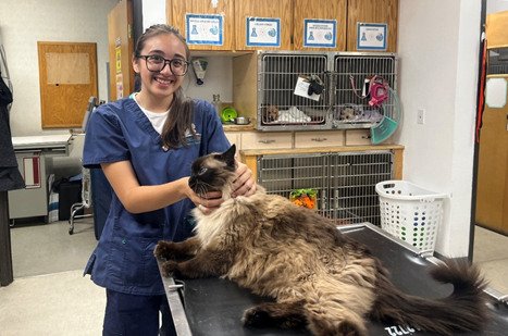 Kayleen Galvan brings an eagerness to learn as an intern at Highland Veterinary Hospital
