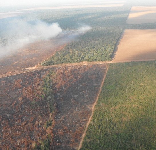 A burned and fragmented forest in the Brazilian Amazon