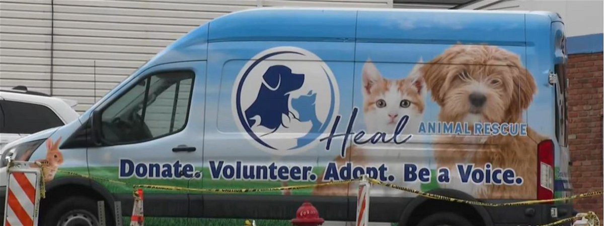 Westmoreland County animal shelter offers reward in horrific animal abuse  case - KTVZ