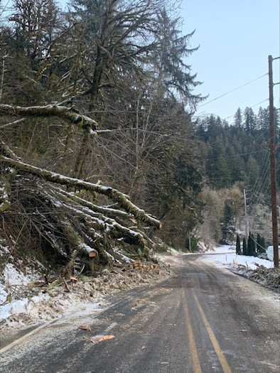 tree clearing continues on Oregon highways, including Highway 34 in the Coast Range