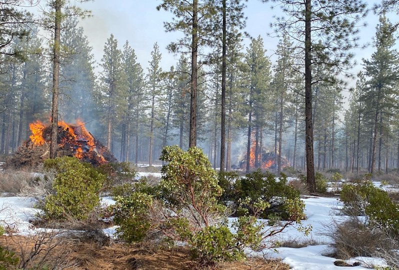 Deschutes National Forest crews ignite piles of woody debris along Hwy. 97 south of Bend