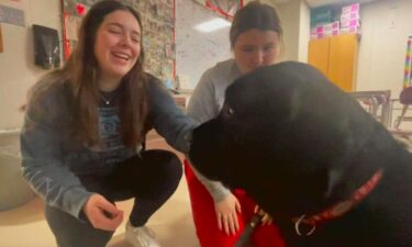 Cooper is a one-year-old black lab with a big face and sweet