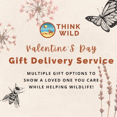 Valentine's Day Delivery Paxinos PA - Pretty Petals & Gifts by Susan