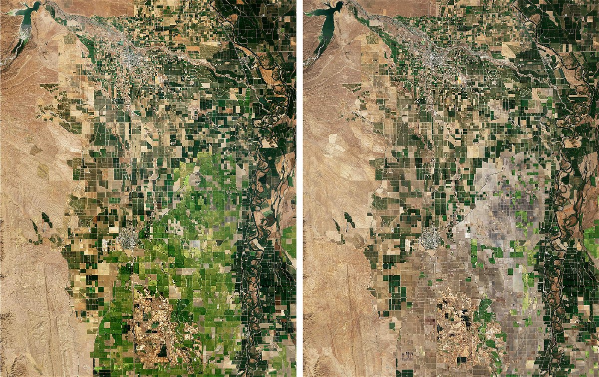 <i>Landsat 8/Nasa/Planet Pix/ZUMA Press Wire</i><br/>Comparison view of the Sacramento Valley rice-growing region that has lost nearly 75 percent of production due to extreme drought conditions east of Willows