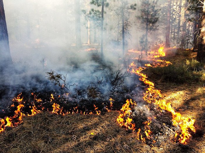 2019 Boundary Prescribed Burn on the Fremont-Winema National Forest