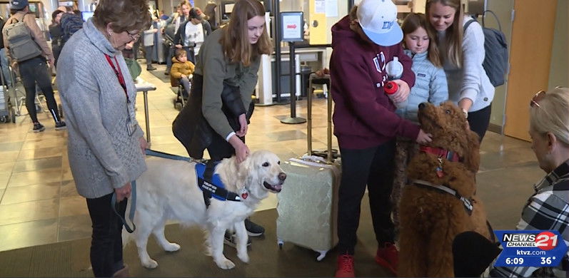 Welcome Waggin': Redmond Airport's Therapy Dog Visits Bring Smiles 