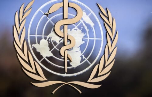 Advisers to the World Health Organization will consider next month whether to add liraglutide