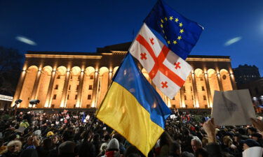 Protesters wave the Georgian