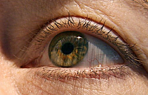 Research has been exploring how the eye may help in diagnosing Alzheimer's disease before symptoms begin.