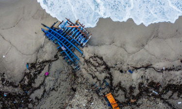 Pieces of wood wash up on a beach