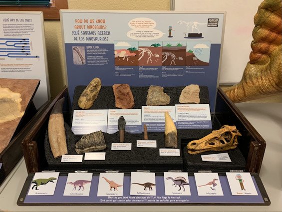 Dinosaur-themed exhibits are on display through May 4 at the Crook County Library and Bowman Museum