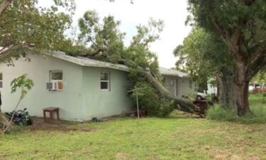 Two families in Fort Pierce were forced to leave their homes after a large tree crashed through a roof in their duplex.