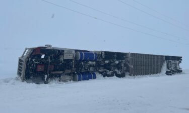 A semi loaded with cattle tipped over in South Dakota.