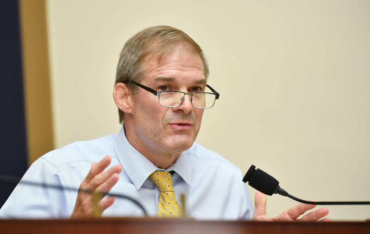 <i>Mandel Ngan/Pool/Getty Images</i><br/>Rep. Jim Jordan speaks during a House Judiciary Subcommittee on Antitrust