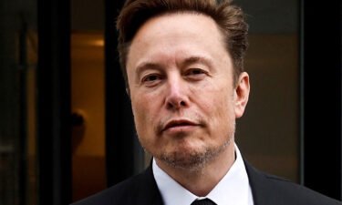 Tesla CEO Elon Musk pictured in Washington