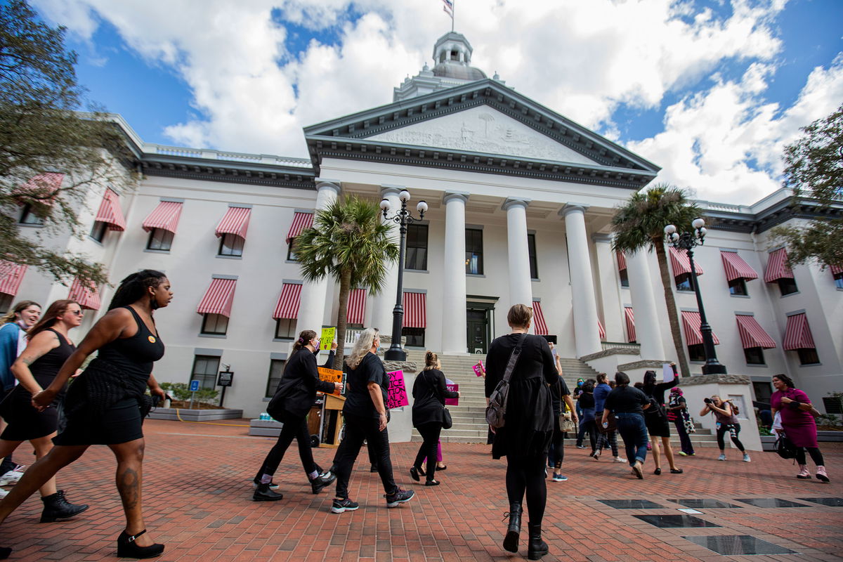 <i>Mark Wallheiser/Getty Images</i><br/>Advocates protest a bill before the Florida legislature to limit abortions on February 16