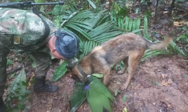 Colombian Armed Forces launched a massive search and rescue operation