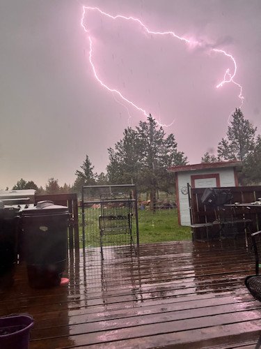 Lightning Juniper Canyon Daisy Rouse 5-20