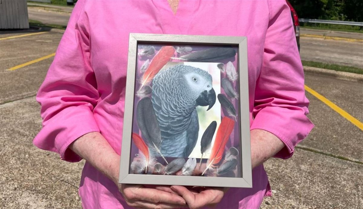 <i></i><br/>A Shreveport resident seeks help searching for her missing parrot.