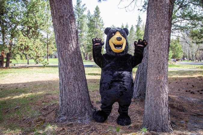 Auditions will be held for those wishing to play Sunriver Resort's 'Director of Hugs,' Takoda the Bear