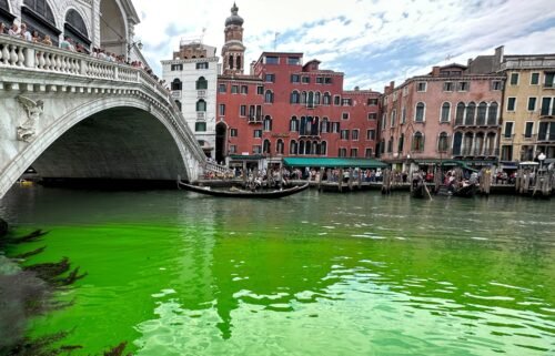 Gondolas navigate by the Rialto Bridge on Venice's historical Grand Canal as a patch of phosphorescent green liquid spreads in it