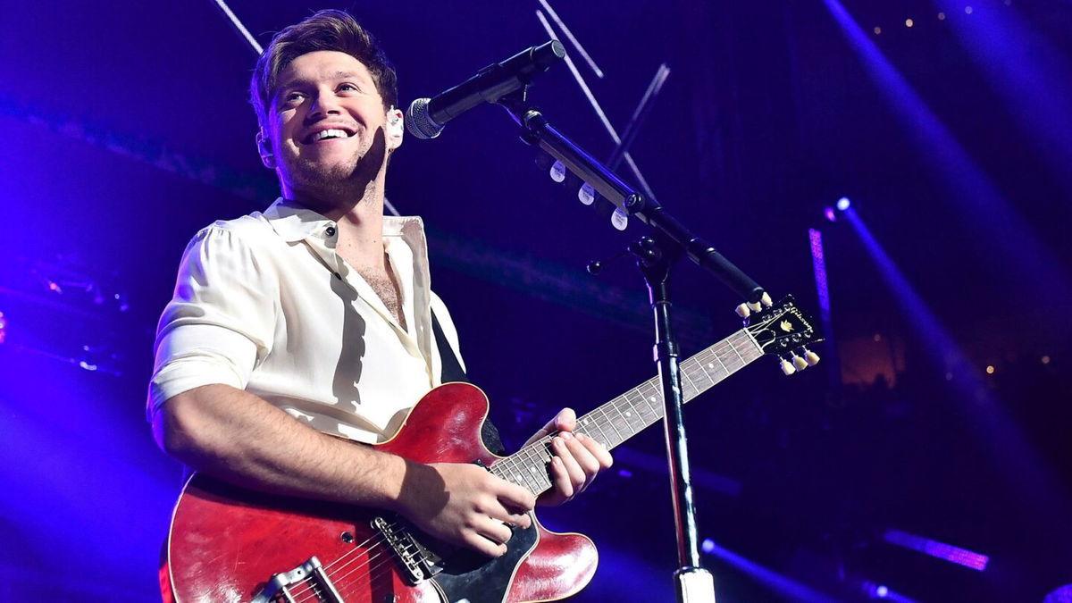 <i>Paras Griffin/Getty Images</i><br/>Niall Horan