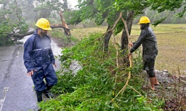 Rescue team remove fallen trees to clear a road in Teknaf.