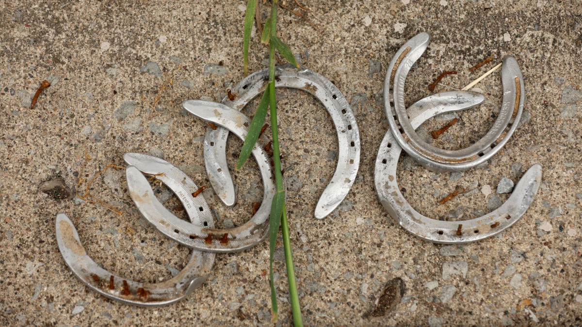 <i>Andy Lyons/Getty Images</i><br/>Discarded horseshoes are seen here in the barn area during the morning training for the Kentucky Derby at Churchill Downs on April 29. Officials from the Churchill Downs racetrack have described the recent deaths of four horses as 