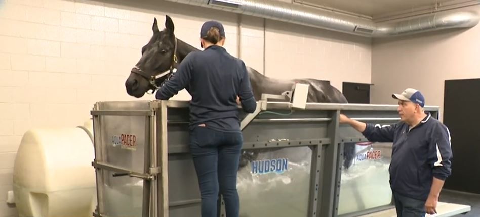 <i></i><br/>Foxhall Equine is a place to rest and recover. Treatments include an underwater treadmill.