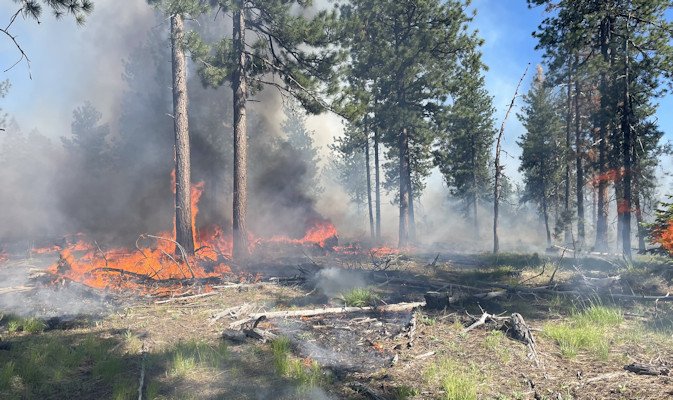 Horse Springs Fire on Ochoco National Forest