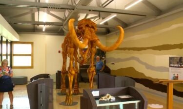 The bones of a Woolly Mammoth are out of the Ice Age and in Mahaska County for anyone to see.