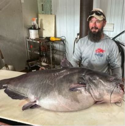 <i>Tennessee Wildlife Resources Agency/WSMV</i><br/>Micka Burkhart caught a monster catfish in the river in Stewart County
