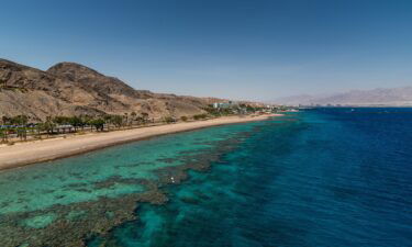 Pictured here is a view of the shallow reef due north from The Underwater Observatory Marine Park tower in Eilat