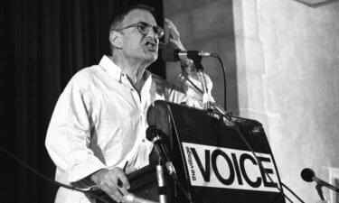 Larry Kramer is seen here at the Village Voice AIDS conference on June 6