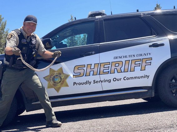 Deschutes County sheriff's Deputy Russell Stanage with rescued snake