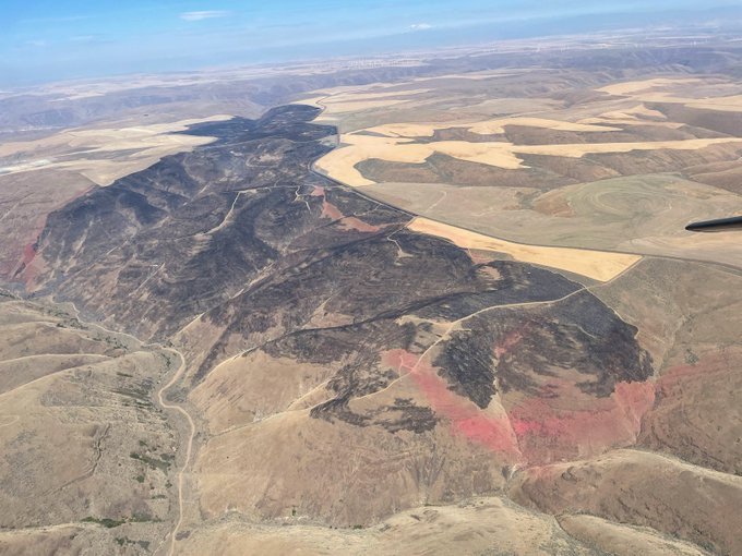 Aerial view of area burned by the Devils Butte Fire in Gilliam County