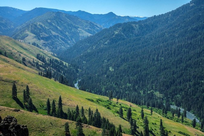 Funds from the U.S. Dept. of Agriculture's Forest Legacy program are helping a coalition of groups preserve close to 11,000 acres of working forestland in northeast Oregon's Union and Wallowa counties