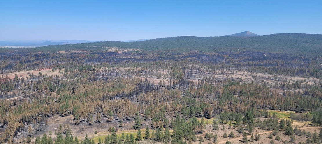 Aerial view of the area affected by the Golden Fire