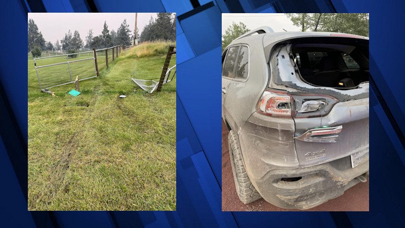 Damaged fence, alpaca ranch vehicle