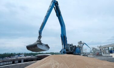 An excavator loads grain into a cargo ship at a grain port in Izmail