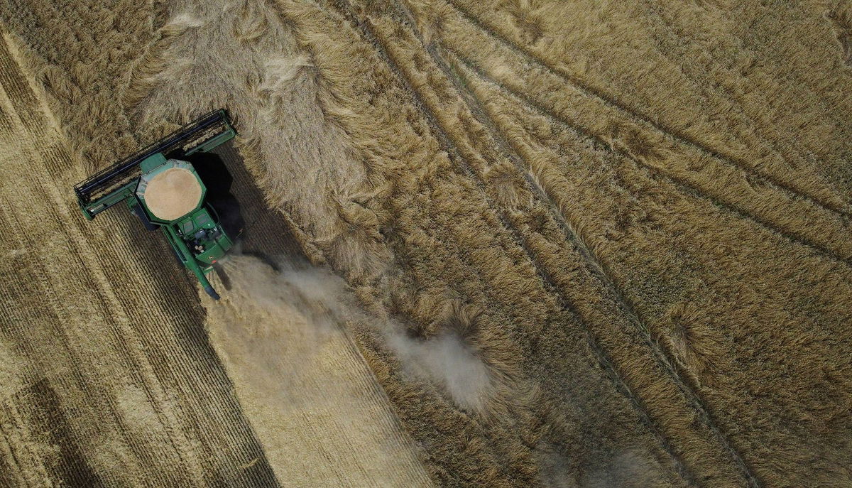 <i>Alexander Ermochenko/Reuters</i><br/>A combine harvests wheat in a field near the settlement of Nikolske in the Donetsk Region in Ukraine on July 19.