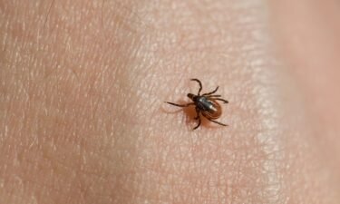 Blacklegged or deer ticks are "public health enemy number one